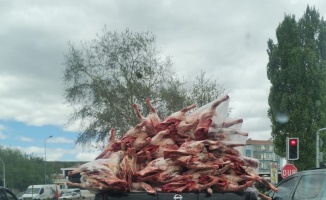Kilolarca eti kamyonet kasasında böyle taşıdı