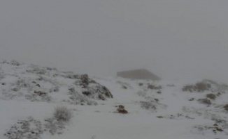 Mayıs ayında Nemrut’ta kar sürprizi