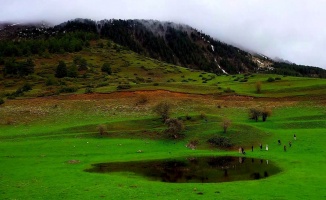 Sisli dağların yeşille bütünleşen manzarası
