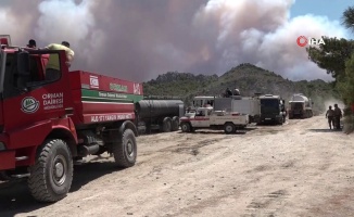 KKTC Cumhurbaşkanı Tatar: "Yangına müdahale sürüyor"