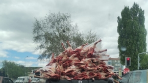 Kilolarca eti kamyonette böyle taşıdılar
